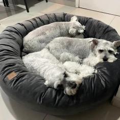 Cama Resistente para Cachorros Nuvem Veludo GG 80x80 - DeCoração Ateli