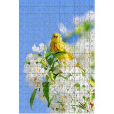 Quebra-Cabeça Cognitivo Primavera Viva 300 Peças - Coleção TEA, Colori