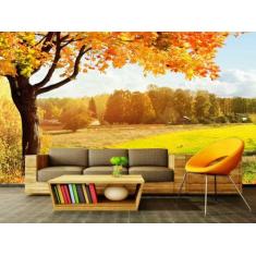 Papel de Parede Paisagens Floresta 60 - 1,00 X 1,00 - Voce Decorando