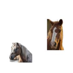 Kit 4 Quebra-Cabeças Cognitivos Mente Belos Cavalos 90 Pc - Coleção Te