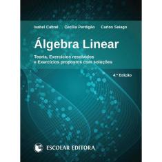 Álgebra Linear - Teoria, Exercícios Resolvidos e Exercícios Propostos Com Soluções