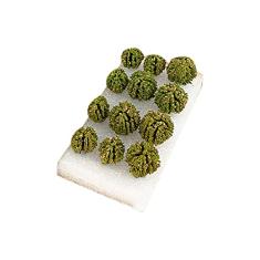 MOOKEENONE 12x DIY Miniature Simulation Bush Tree Scene Model and Table Simulation Landscape War Gaming Terrain Decoration