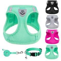 PUPTECK Conjunto de coleira e coleira ajustável para cães pequenos, médios e gatos, caminhada ao ar livre, corrida, colete refletivo acolchoado de malha macia, verde sólido, P