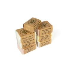 kit Shampoos barra Sabonetes e condicionador Expresso Mata Atlântica