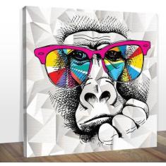 Quadro Decorativo Macaco Óculos Colorido Midiapoparte 60X60