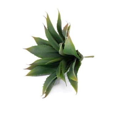 Imagem de Folha Artificial Agave Com Raiz X21 Para Arranjos Verde 25 Cm F04 - D'