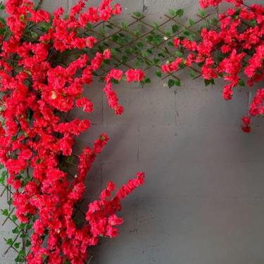 Imagem de Kit 10 Flores de Cerejeira Permanentes Com Toque de Inspiração para Ár