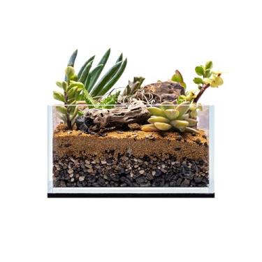 Imagem de UNS Tanque sem aro ultra transparente - 0,5 GAL | 2L - 6,29 x 6,29 x 3,14 | 16 x 16 x 8 cm, espessura de vidro de 5 mm, tapete de nivelamento incluído - aquário com ferro baixo, alta claridade com