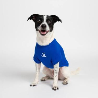 Imagem de Camisa para Pet - Dry Fit (Azul Bic, M)
