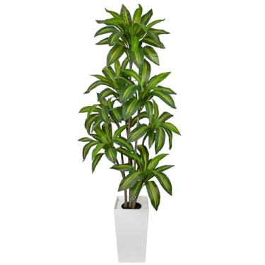 Imagem de Arborus Árvore Dracaena artificial de 1,8 m de altura, planta falsa realista para interior com vaso branco, árvore sintética para decoração de entrada de sala de estar e escritório