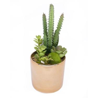 Imagem de Vaso Decorativo Dourado Com Cactos E Suculenta Artificial 19x8 Cm F04 - D`rossi