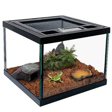 Imagem de Mini tanque de terrário de vidro para répteis 20,3 x 20,3 x 15,2 cm, caixa anfíbia, caixa de habitat, gaiola para sapo, aranhas, barata dubia, louva-a-deus, críquete, tarântula, caranguejo eremita