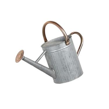 Imagem de WeiLaiKeQi Regador de plantas para plantas internas e externas, pulverizador fino, à prova de vazamentos, grande, confortável, reutilizável, com bico removível, 4l