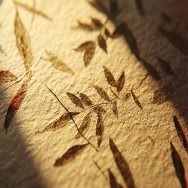 Imagem de Quadro Decorativo com Estampa de Folhas Presas em Papel Texturizado Artesanal 50x50cm