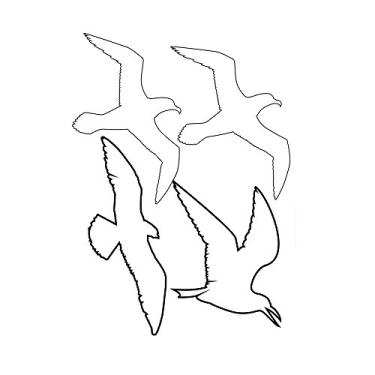 Imagem de Adesivo de Parede Voo Kapos Branco 20X30