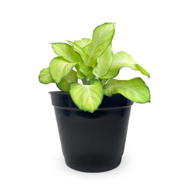 Imagem de 15 Vaso Preto Plástico Atacado 3 Litros - Pmc Plásticos