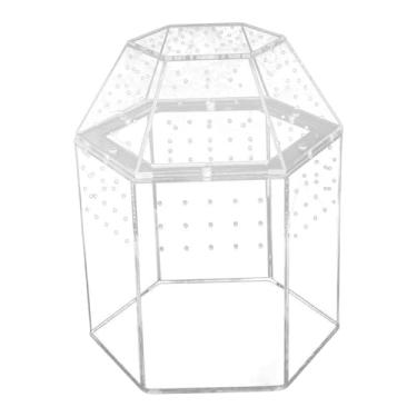 Imagem de Ｂｅｓｇａ Caixa de acrílico para aquário de aranha-saltadora, gaiola para tarântula, terrário para répteis, escorpião, loja online, criação de louva-a-.