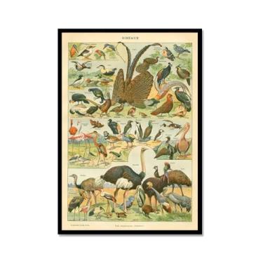 Imagem de Pôster vintage com estampa de pássaros franceses ornitologia, presentes para pássaros, educação, arte de parede, pintura em tela, sala de estar, decoração de casa (SKU5,20,3 x 30,5 cm = (20 x 30 cm