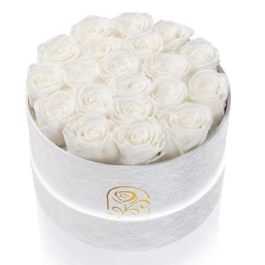 Imagem de Presentes para mulheres, caixa de flores de rosas preservadas, caixa de veludo de luxo com 20 rosas, flores preservadas, presente romântico para ela, esposa, namorada, aniversário, aniversário de