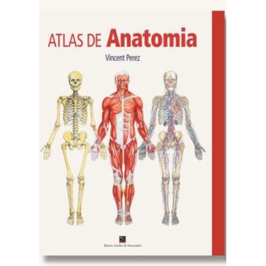 Imagem de Atlas de Anatomia - 01Ed/25 - RESUMAO, Sortido