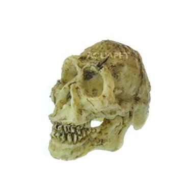Imagem de NomoyPet NS91 Crânio Neandertal 5 x 4,5 x 3,5 cm