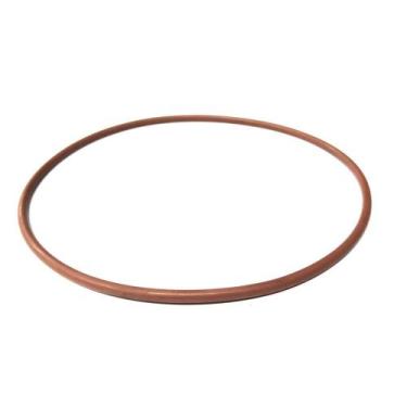 Imagem de Anel vedacao bomba dagua maior iveco stralis/eurotech rda ** - RDA IND