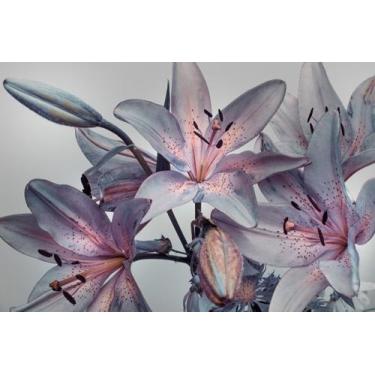 Imagem de Adesivo Cabeceira de Cama Capitonê Rolo Papel de Parede Autocolante  1