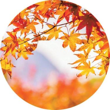 Imagem de Painel Redondo 3D Sublimado Folhagem Frd-2668