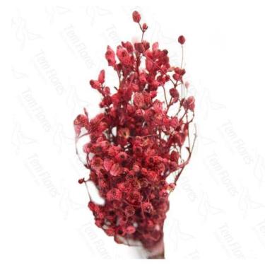 Imagem de Alecrin Desidratado Buque Flores Secas - Pense Flores, Vermelho