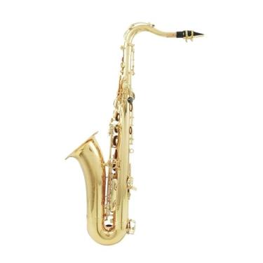 Imagem de Instrumento de saxofone, saxofone tenor, latão, saxofone, música, instrumento profissional de sopro de madeira com peças de saxofone tenor