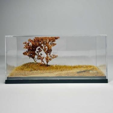 Imagem de Dynwave Vitrine transparente para exibição de miniaturas de carros em escala 1/64, à prova de poeira, decorativa, para dioramas e armazenamento de carrinhos