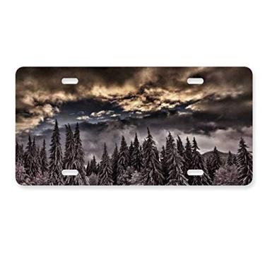 Imagem de DIYthinker Placa de licença de céu escuro céu pinheiro branco decoração placa de carro etiqueta de aço inoxidável