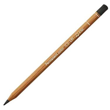 Imagem de Caran D'ache Luminance 6901 Lápis Lightfast Nº 495 - Cinza ardósia (6901.495)