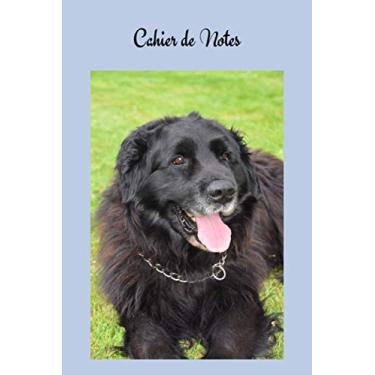 Imagem de Cahier de Notes: Bouvier Bernois. Carnet de notes chien Bouvier Bernois. Joli cahier de 100 pages lignées numérotées avec sommaire format 6x9. Joli ... carnet d’écriture, d’adresse, mots de passe