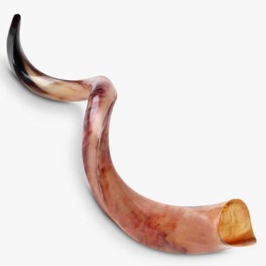 Imagem de Shofar Halleluyah Kudu Kosher totalmente polido original de Israel