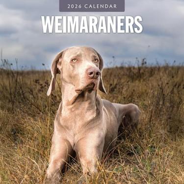 Imagem de Calendário de parede mensal Red Robin 2026 Weimaraners | Abertura de 30,5 cm x 61 cm | Papel grosso e resistente premium | Calendário de 12 meses pendurável | Notas forradas e área para fazer |