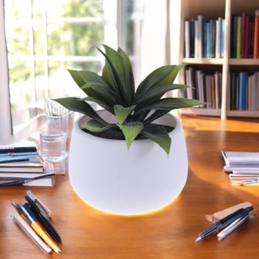 Imagem de Generic 1 peça de plantas artificiais suculentas com plantador plástico PVC verde 11 x 11 x 12 cm