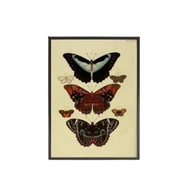 Imagem de Quadro Decorativo Borboletas Vintage 24X18Cm - Com Vidro - Quadros On-
