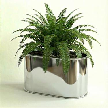 Imagem de Genérico, Jardineira Retangular, Uso Interno, Tamanho P, Branco, Plástico, Vaso de Plantas, Retangular, Montagem em Parede, Vaso para Plantas, 11x12x6 cm