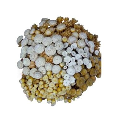 Imagem de Mix de Flores Secas Desidratadas – Flores Sempre Viva para Decoração e Arranjos de Mesa(Claro)