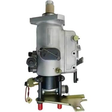 Imagem de Serve para Case Tractor 550E 550G Loader 580SK 580M 580LE 570LXT Bomba de Injeção de Combustível J916523 U3042F840 J91-6523