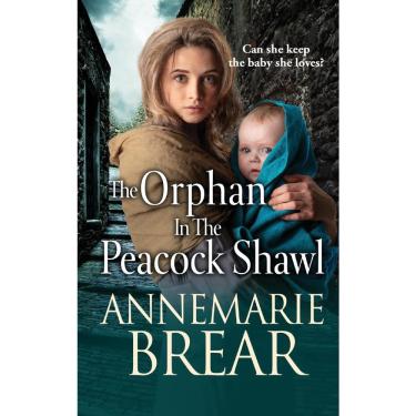 Imagem de The Orphan in the Peacock Shawl