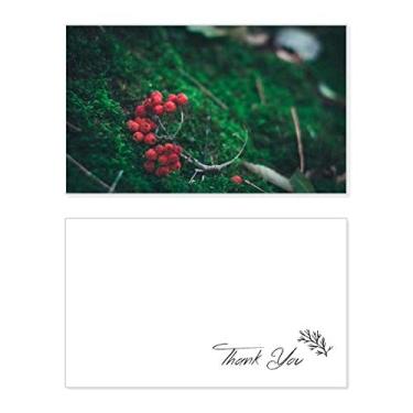 Imagem de Frutas vermelhas Florestais Ciência Cenário Natureza Cartão de agradecimento Papel Aniversário Agradecimento Casamento