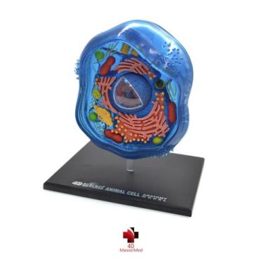 Imagem de Anatomia da Célula Animal - 4D MasterMed