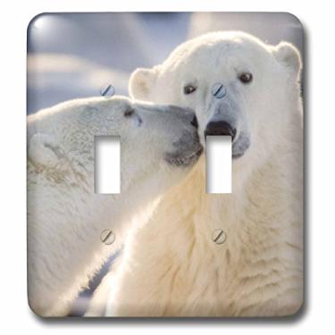 Imagem de 3dRose lsp_70261_2 Canada, Manitoba, Hudson Bay, Churchill, Interruptor duplo de urso polar