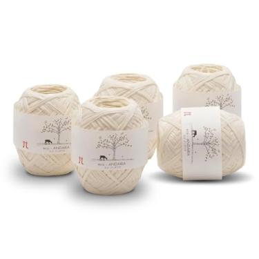 Imagem de Conjunto de 5 bolas Hamanaka Eco Andaria – Fio de fita 100% rayon para crochê e tricô, biodegradável, leve para chapéus de verão, bolsas e artesanato DIY (creme)