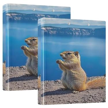 Imagem de Fichários personalizados com 3 anéis de 3 anéis com vista panorâmica de esquilo à terra, comporta 200 folhas, 3 pastas de anel, anel redondo, fichário resistente, 31,5 x 27 x 6 cm, 1 pacote