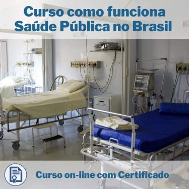 Imagem de Curso Online em videoaula de como funciona Saúde Pública no Brasil com Certificado + 2 brindes