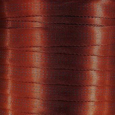 Imagem de West Coast Corda de nylon tubular de 2,5 cm – Premium resistente leve com resistência à ruptura de 1,814 kg – tiras para uso externo para escalada e segurança (ferrugem, 100 jardas)