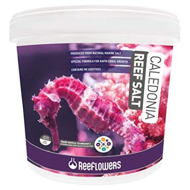 Imagem de Sal Reeflowers Caledonia Reef Salt 6,5 KG